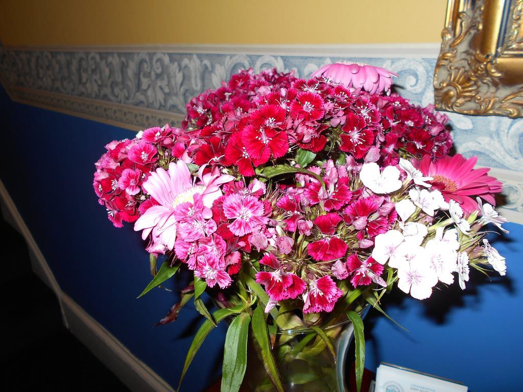 Cranborne Guest Accommodation Exclusively For Adults Torquay Buitenkant foto
